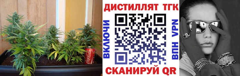 Купить  Алексеевка  ТГК THC oil 