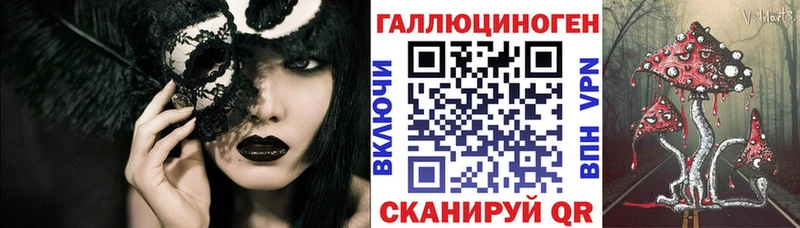 Купить  Алексеевка  Псилоцибиновые грибы Psilocybine cubensis 